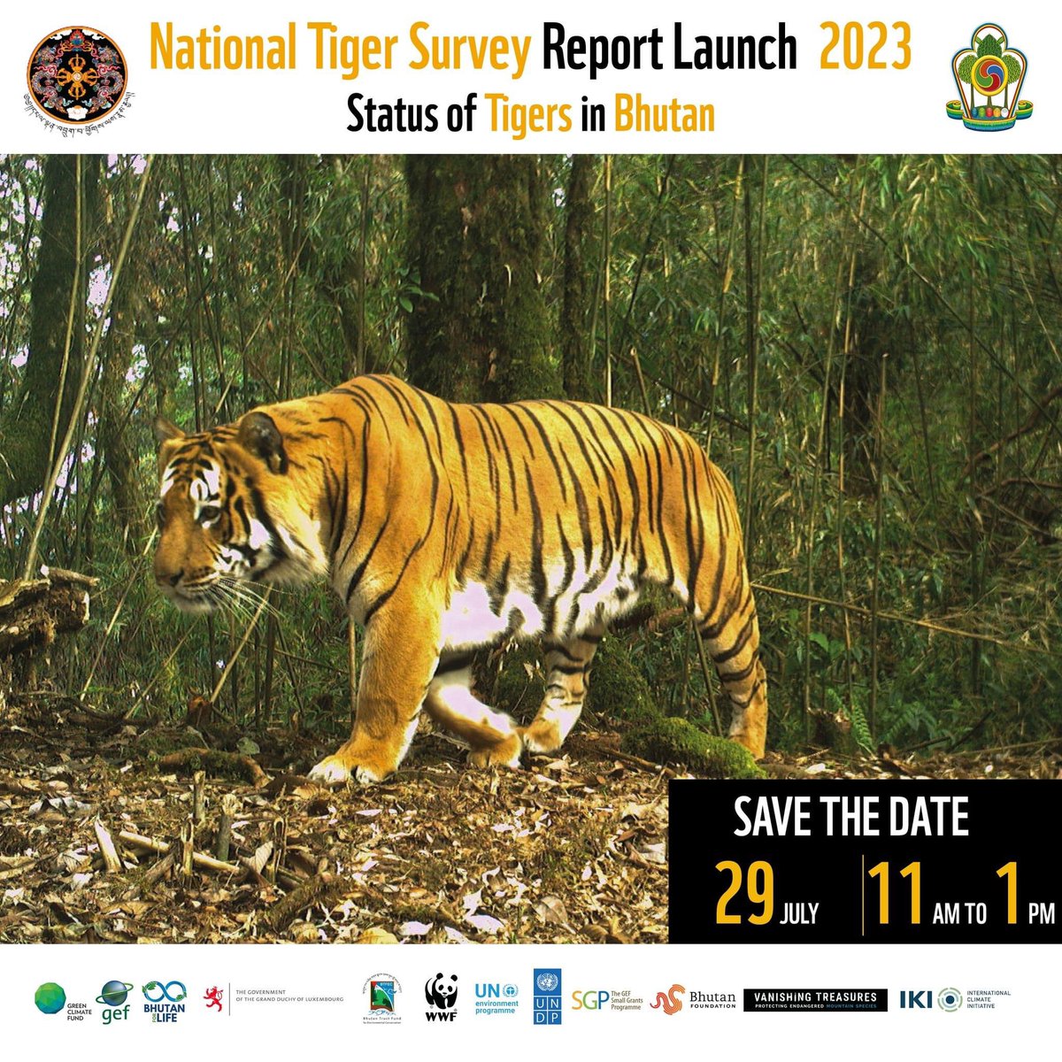 bhutanforlife's tweet photo. National Tiger Survey Report will be launched on 29th July coinciding with the Global Tiger Day.
Save the Date. Stay tuned for more…
#TigerConservation #ProtectWildlife
#BhutanTigerSurvey #Tigersalive @theGCF @WWF #DoFPS #UNDP #GEF #BTFEC #SGP #WWF #BF https://t.co/msdIFk2jV6