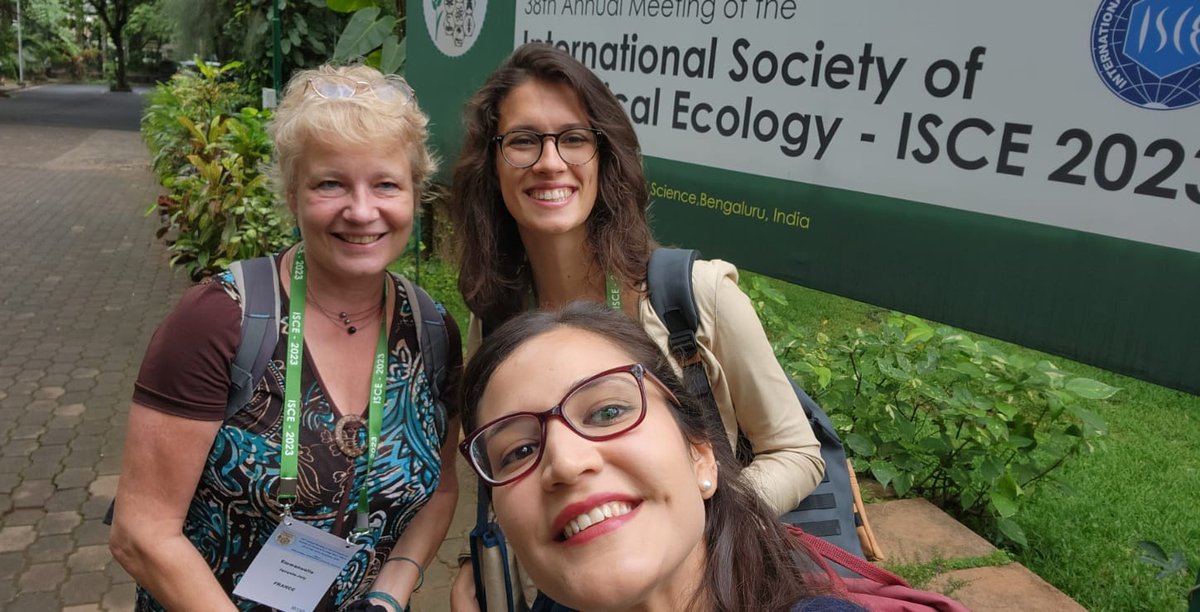 Emma Joly tweet media