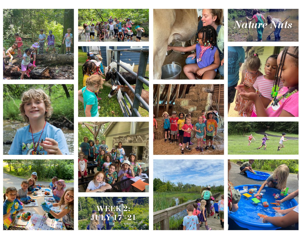 As we kick off Week 3 of Summer Adventure Camp, we are still on cloud nine after the adventures we had with our 24 Nature Nuts last week.🤩

#summercamp #adventure #summerfun #naturenuts #nature #outdoorrecreation #envrionmentaleducation #outdoorlearning #discover #explore