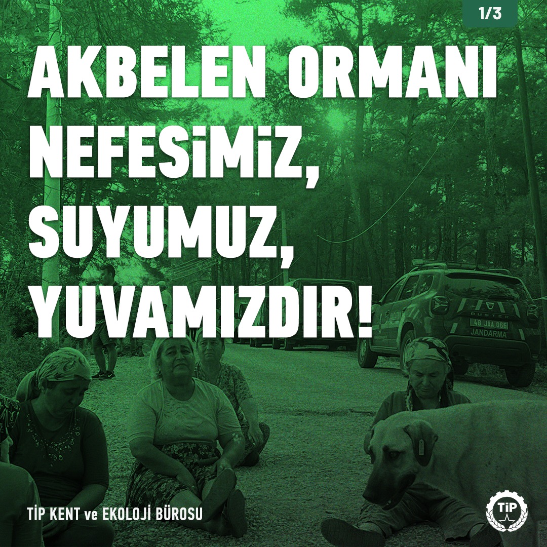 TipEkoloji's tweet photo. Akbelen Nefesimiz, Suyumuz, Yuvamızdır!

Rant düzenine artık yeter! 
Yeniköy Kemerköy Elektrik Üretim ve Ticaret AŞ adına maden açık işletme izni verilmesine ilişkin 28/11/2020 tarihli Tarım ve Orman Bakanlığı işleminin derhal iptal edilmesini talep ediyoruz. 

#AkbeleneDokunma https://t.co/qZ6LU8grvQ