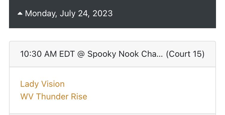 2025_LadyVision's tweet photo. Last time to check out the 2WO-5IVE Lady vision team in their final summer session game in Hamilton, OH UA Rise Finals! Tap in!! https://t.co/agpyxcjs2E