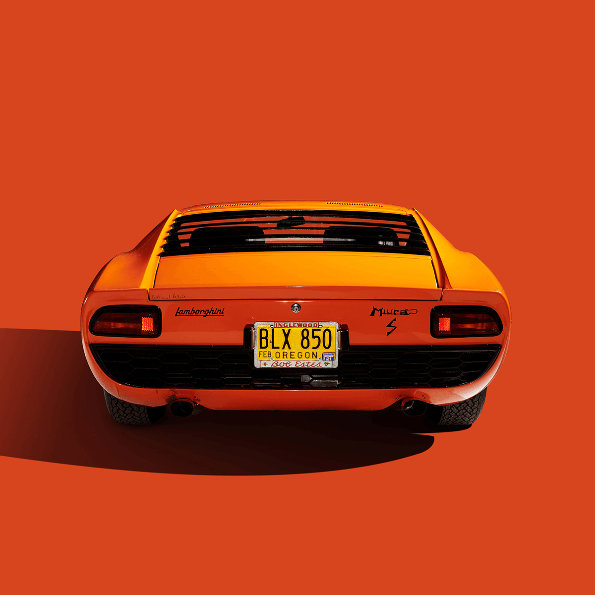 That's one happy tail. 😃   🧡  Discover the limitless possibilities of digital collectibles. GarageXYZ is the car club of the future.  discord.gg/garage