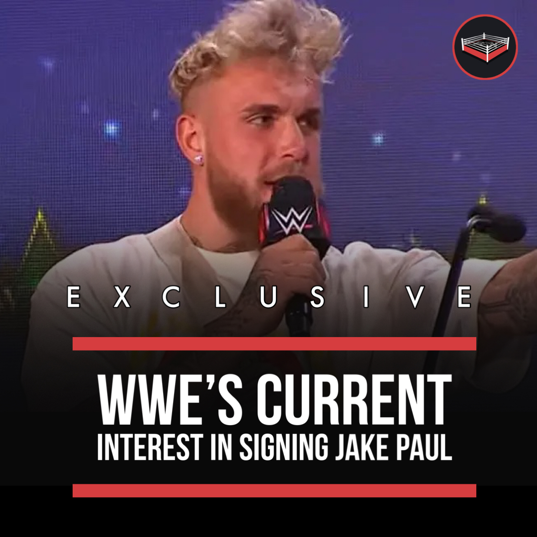 RT @ringsidenews_: #WWE's Current Interest In Signing #JakePaul https://t.co/zI9VRZaHaD https://t.co/hJ0bBtV7Ng