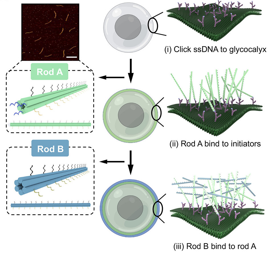 Rebecca Taylor (@jrbexbox.bsky.social) tweet media