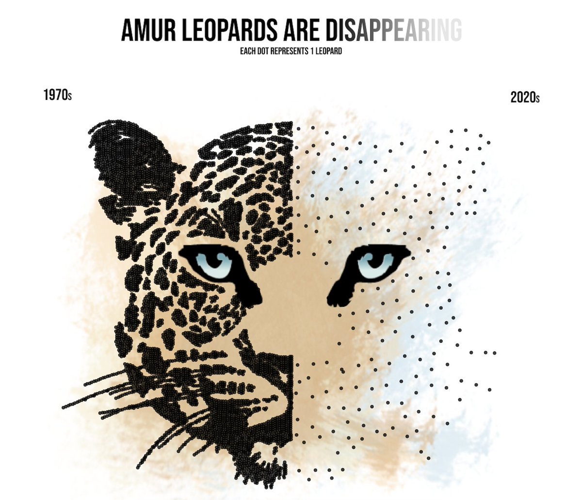 tableaupublic's tweet photo. Check out this #VizOfTheDay created by @AshaDaniels_, which uses fictional data to bring awareness to the concerning decline of Amur leopards. https://t.co/aE1m9WYKJ6 https://t.co/BdJW5lswbL