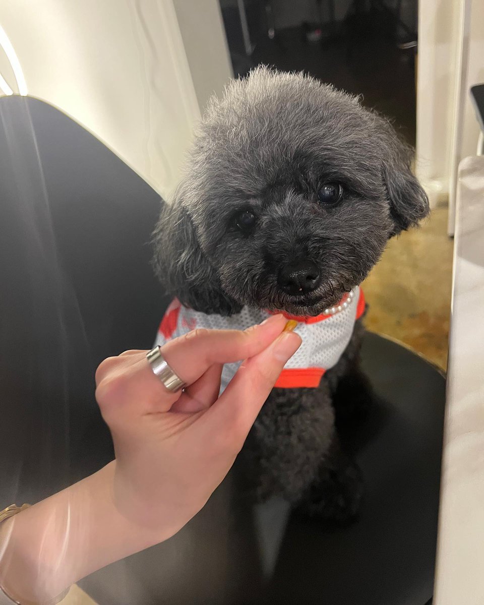 PeipeiPeiyi's tweet photo. Mommy missed you so much! 🥰📷 I will bring you with me to another place with me soon! 📷 🫢 https://t.co/xaWHFcxH2A