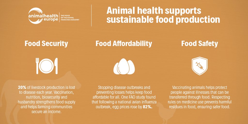 animalhealthEU's tweet photo. We all want our food to be safe and affordable
🥩🥛🍗🍤🧈 
And #AnimalHealth plays an important role in that https://t.co/9ZYZNsskEn