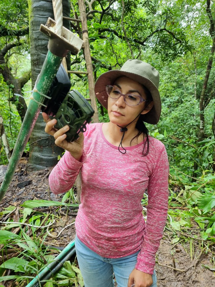 ASPvoice's tweet photo. Happy #monkeymonday &amp; Congratulations to ASP’s Conservation Grant awardee Luz Loria @LilaLoria. Her project aims to design a children’s guidebook based on implementing and evaluating different activities with children participation. #primatology https://t.co/Ptv8SBS5gK
