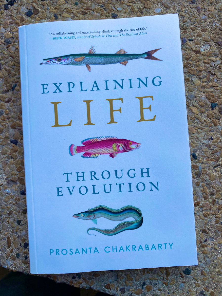 Prosanta Chakrabarty tweet media