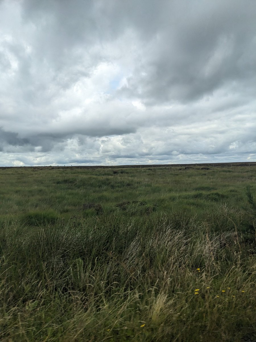 Sam Campion tweet media