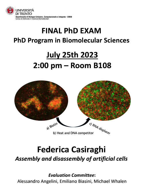 CIBIO_UniTrento's tweet image. 👩🏻‍🔬Federica Casiraghi, from Lab for Artificial Biology, will defend her #PhD today:  Assembly and disassembly of #artificialcells   Good luck!      

🗓️July 25th, at 2 pm  
🏛️Room B108, Povo 2