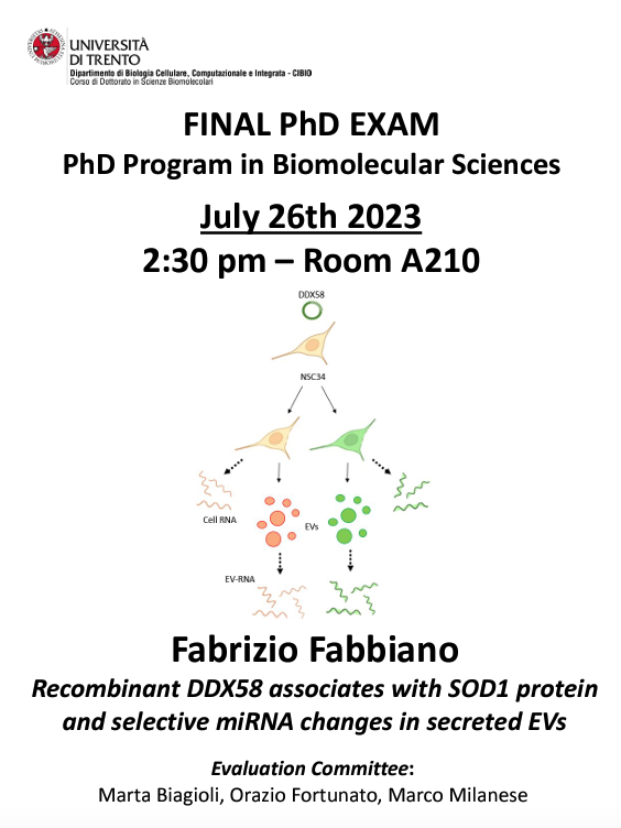 CIBIO_UniTrento's tweet photo. 🧑🏻‍🔬Fabrizio Fabbiano from Lab of Biotechnology and Nanomedicine will discuss his #PhD thesis: Recombinant DDX58 associates with SOD1 protein and selective #miRNA changes in secreted EVs.

🗓️July 26th, 2.30 pm   
🏛️ Povo 1, Room A210 

#EV #research #academia #phdlife https://t.co/tUvNgp5xX8