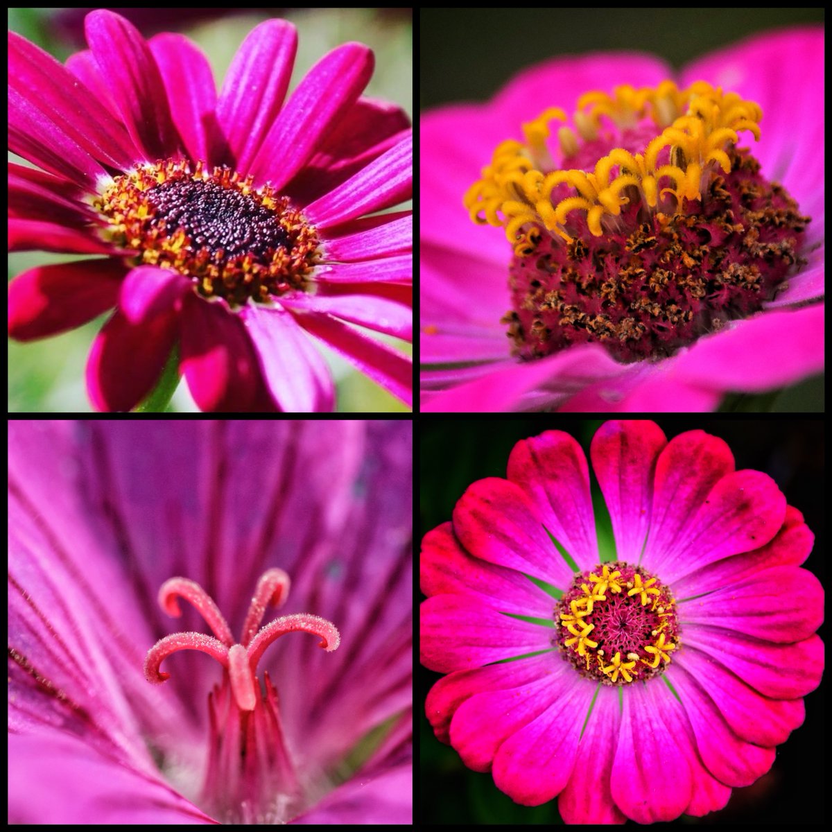 William Hulbert Photography tweet media