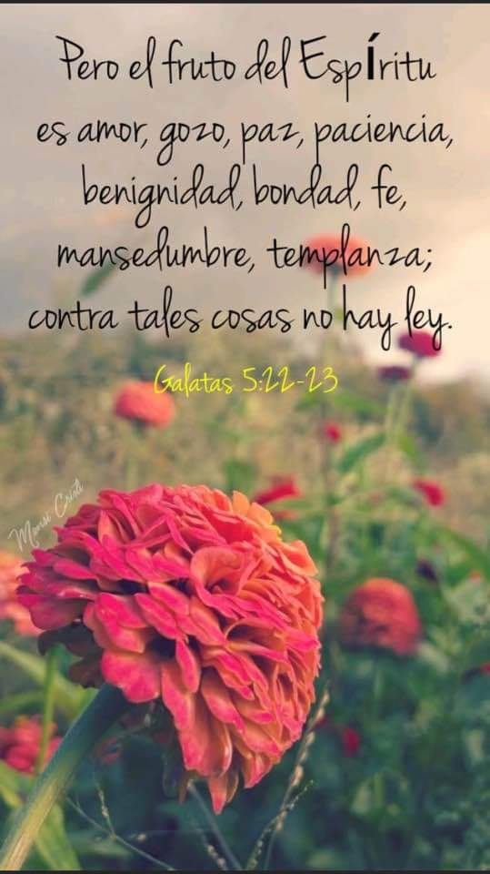 LuisAlbertoC10's tweet photo. @PaolacruzQ https://t.co/yeAwRx6PSM