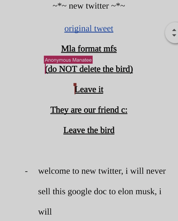 sufferingpoodle's tweet photo. when i made new twitter (a google doc that i posted for everyone to write their thoughts in when el*n bought twitter) they also killed the bird so this is just history repeating itself. https://t.co/C0APqpz3Sz