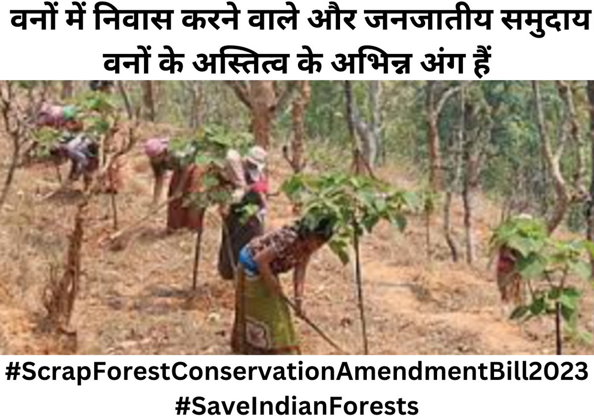 CBA_Raipur's tweet photo. नया वन संरक्षण संशोधन विधेयक 5वीं अनुसूची, वन अधिकार, पेसा अधिनियम के तहत आदिवासियों को प्रदत्त कानूनी और संवैधानिक अधिकारों पर एक और हमला है
@moefcc @PMOIndia @TribalAffairsIn
#ScrapForestConservationAmendmentBill2023
#SaveIndianForests
@TribalArmy @JADS_mp @ForestRightsAct https://t.co/1n2hE7aGj3