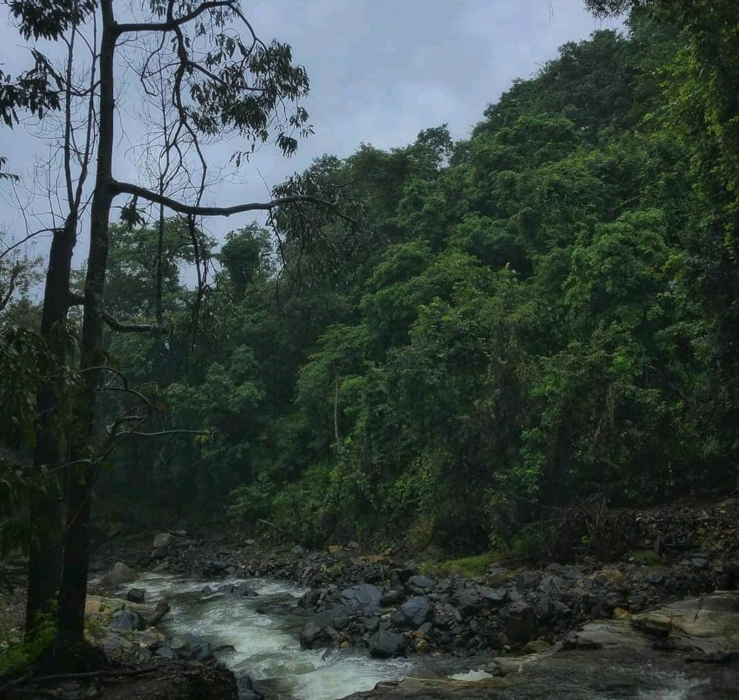 TheWesternGhat's tweet photo. 🌳🚫 Karnataka, Maharashtra, Goa, Kerala, and others say NO to the Forest Conservation Amendment Bill 2023. Let's act now to preserve our green heritage! #ScrapForestConservationAmendmentBill2023 #SaveIndianForests  @pmoindia @moefcc https://t.co/JUWgl9HF17