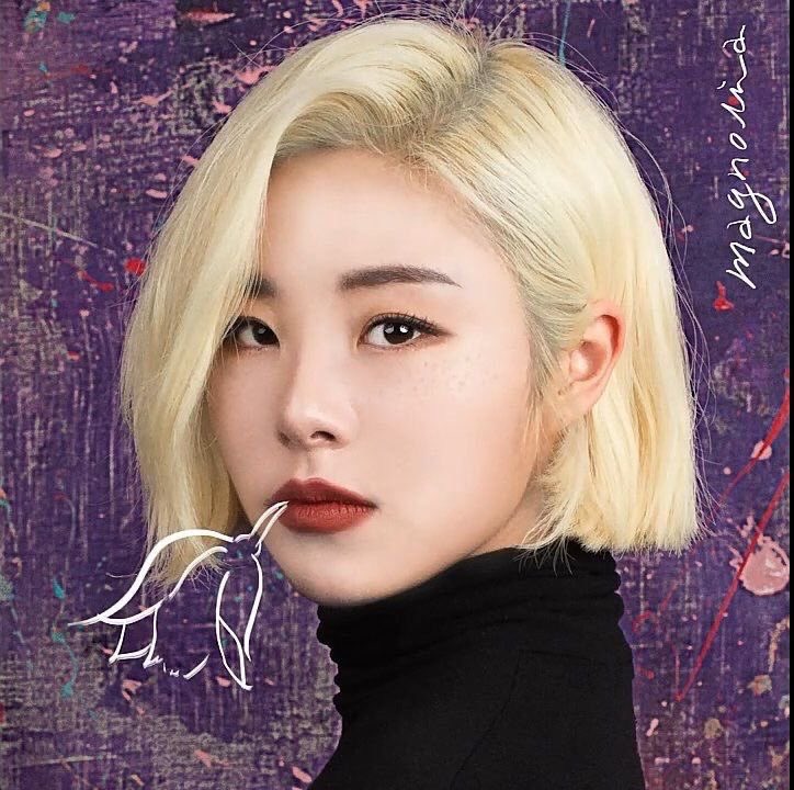 wheeinab2's tweet photo. she’s always winning the category https://t.co/GrT8tMMGu4