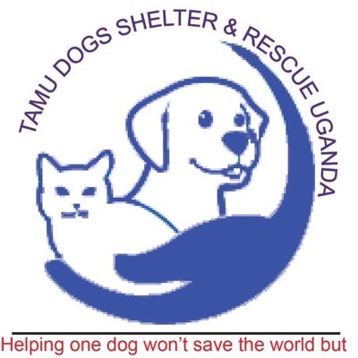 tamudogs_256's tweet photo. #NewProfilePic https://t.co/di3HEI2xD1
