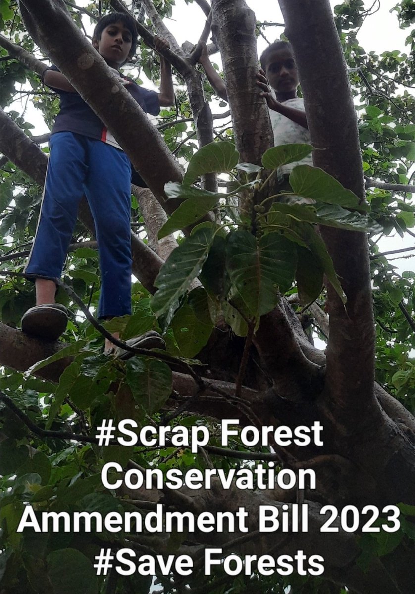 TallulahDSilva's tweet photo. Maharashtra, Goa, Karnataka, and others say NO to the Forest Conservation Amendment Bill 2023. Let's act now to preserve our green heritage! #ScrapForestConservationAmendmentBill2023 #SaveIndianForests  @pmoindia @moefcc https://t.co/aHmjUT5zRh