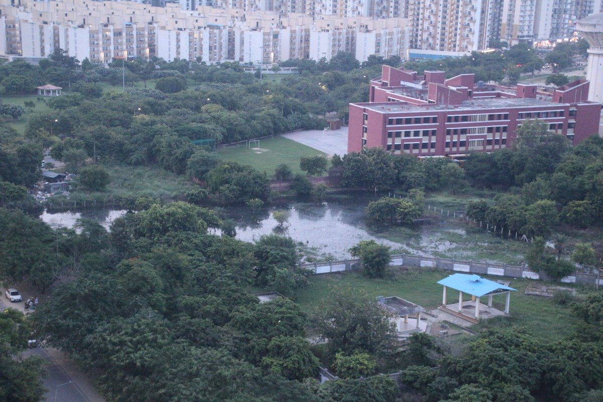 ADVBuyers's tweet photo. @OfficialGNIDA the Drain walls near Ryan School are again broken flooding the green area with Sewer water, a safe haven for mosquito breeding!

Please get the drin fixed and water drained out to prevent large spead of Dengue
@cmogbnr @CMOfficeUP @MhfwGoUP @dmgbnagar https://t.co/bUvWSoKbaB