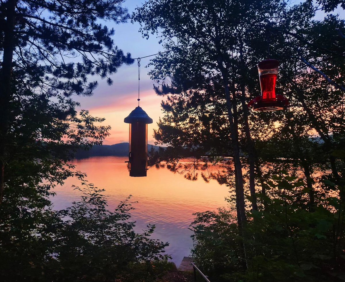 OnHighlands's tweet photo. Lake Life🛥️ 

📸 @mkwiat3
📍 Combermere 

#HastingsCounty #WildlyAuthentic #Combermere #OntariosHighlands #ComeWander #LifeOnTheLake #LakeLife #BoatLife #Boating #Sunset #GoldenHour #LandscapePhotography https://t.co/M4INQyAVm0