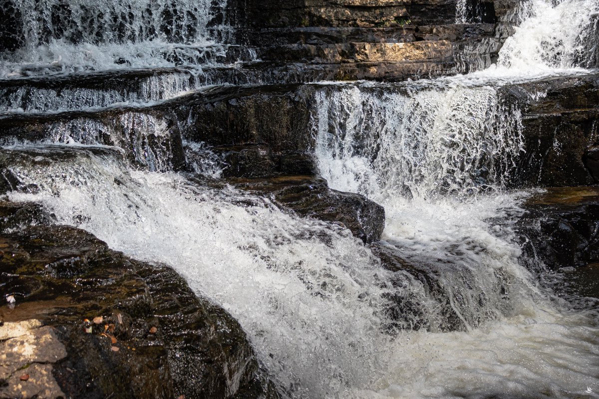 Brigham Bechtel/PelorusPhotography tweet media