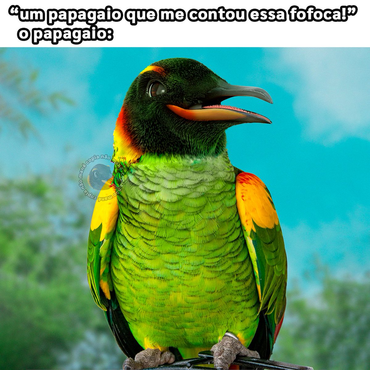 Pontofrio 🐧 tweet media