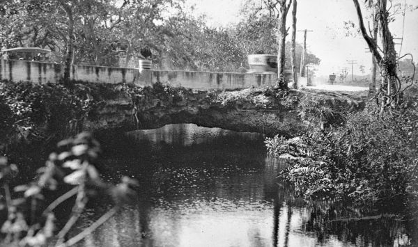 MDEcoAdventures's tweet photo. #OurCommunityGrows because of #MiamiEcoAdventures! @NRPA_news #WhereCommunityGrows #MiamiDadeParks #LiveAParkLIfe https://t.co/MGgl1SkpYb