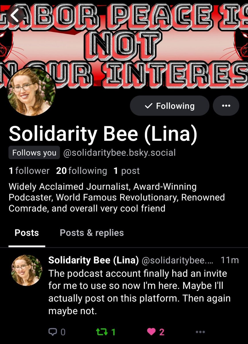 Solidarity Bee tweet media