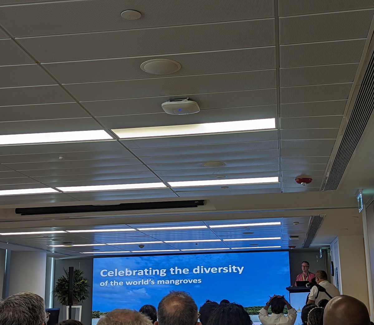 drasquinha's tweet photo. Kicking off #mmm6 with a lovely welcome note by José Mancera &amp; @danfriess plenary on embracing diversity for mangrove research &amp; conservation! https://t.co/lA573sXa6L