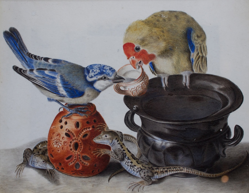 Ci mancherai, uccellino azzurro!
#TwitterX
Teresa Berenice Vitelli, guazzo su pergamena, 1706 #PalazzoPitti