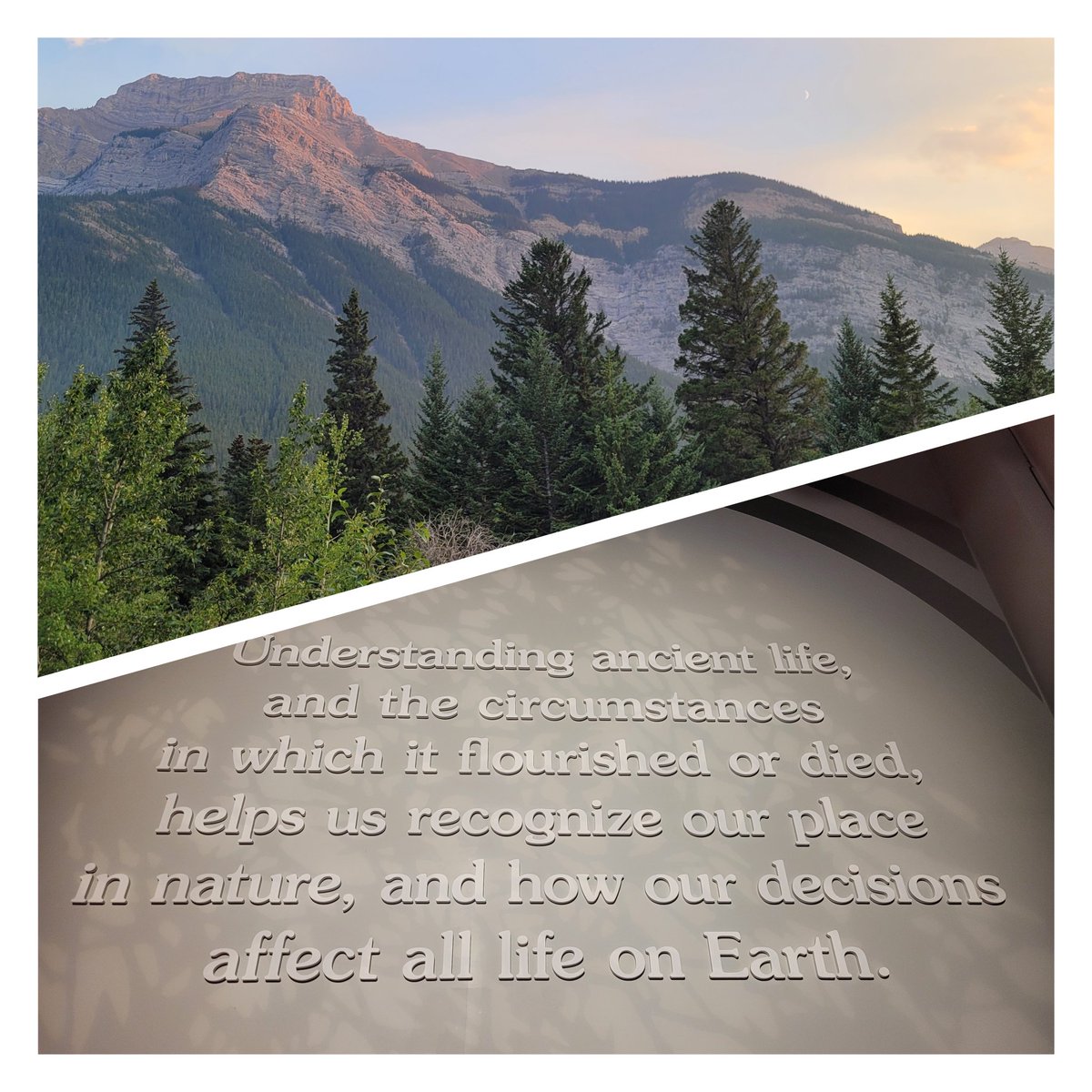 Be a positive and smart contributor to nature, and we will all see the benefits.