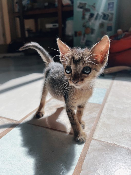 This week in life ✨ https://t.co/HPnpmWrr6S