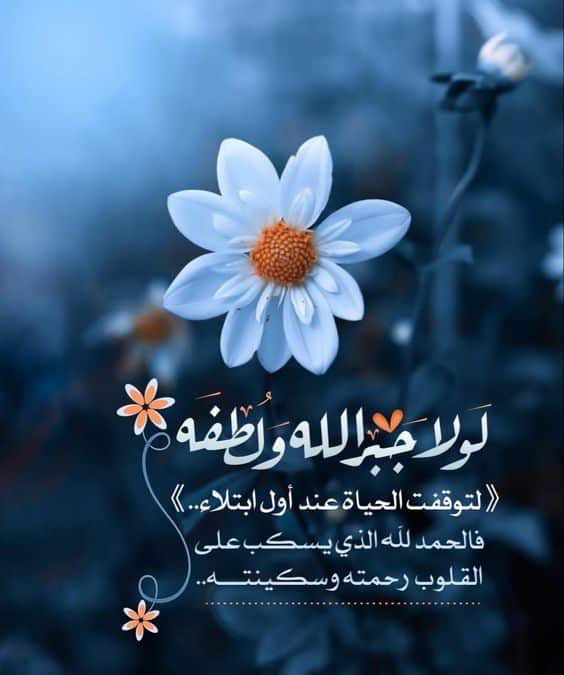 ام لخمسه رجال (@alqeelm) on Twitter photo 