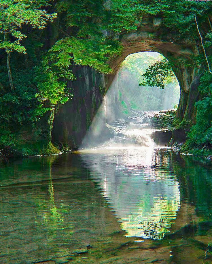softdeIicacy's tweet photo. calmness. https://t.co/uDm7WpK8xS