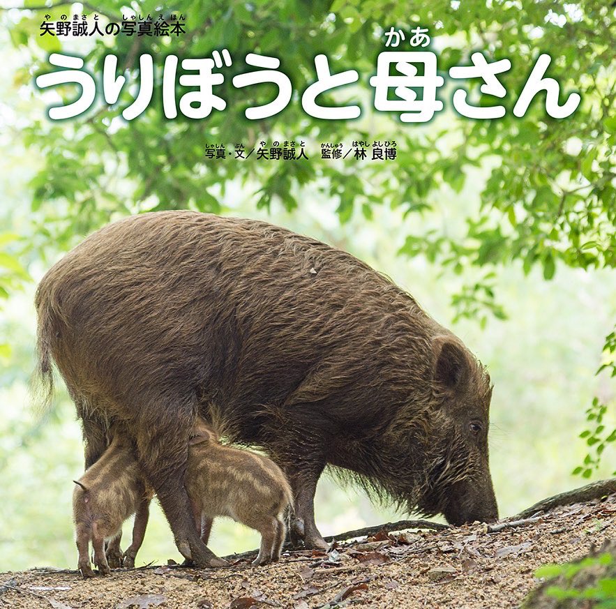 ウリ坊