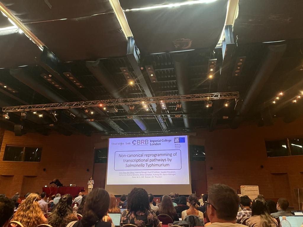Inés (@ines_ddo) on Twitter photo Are you at  #GRCSalmonella and want to know more about how Salmonella effectors reprogramme macrophages towards an anti-inflammatory phenotype? Come and see my poster num 37 today or tomorrow!! Are you at  #GRCSalmonella and want to know more about how Salmonella effectors reprogramme macrophages towards an anti-inflammatory phenotype? Come and see my poster num 37 today or tomorrow!!
