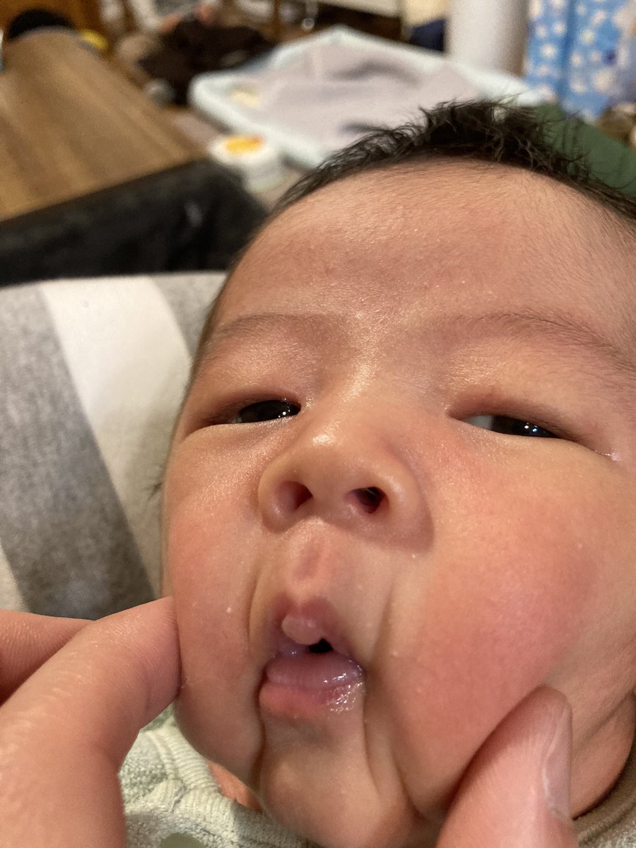 sagaroyal's tweet photo. ひとつなぎの誕生報告。ワンピース https://t.co/zX0Yb51R67