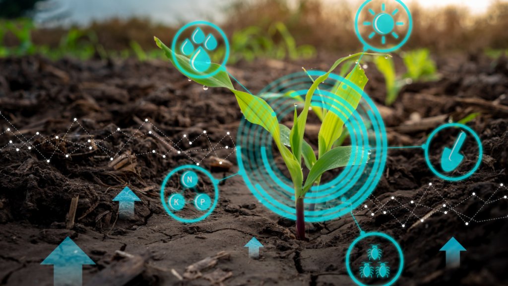 Obase US tweet media