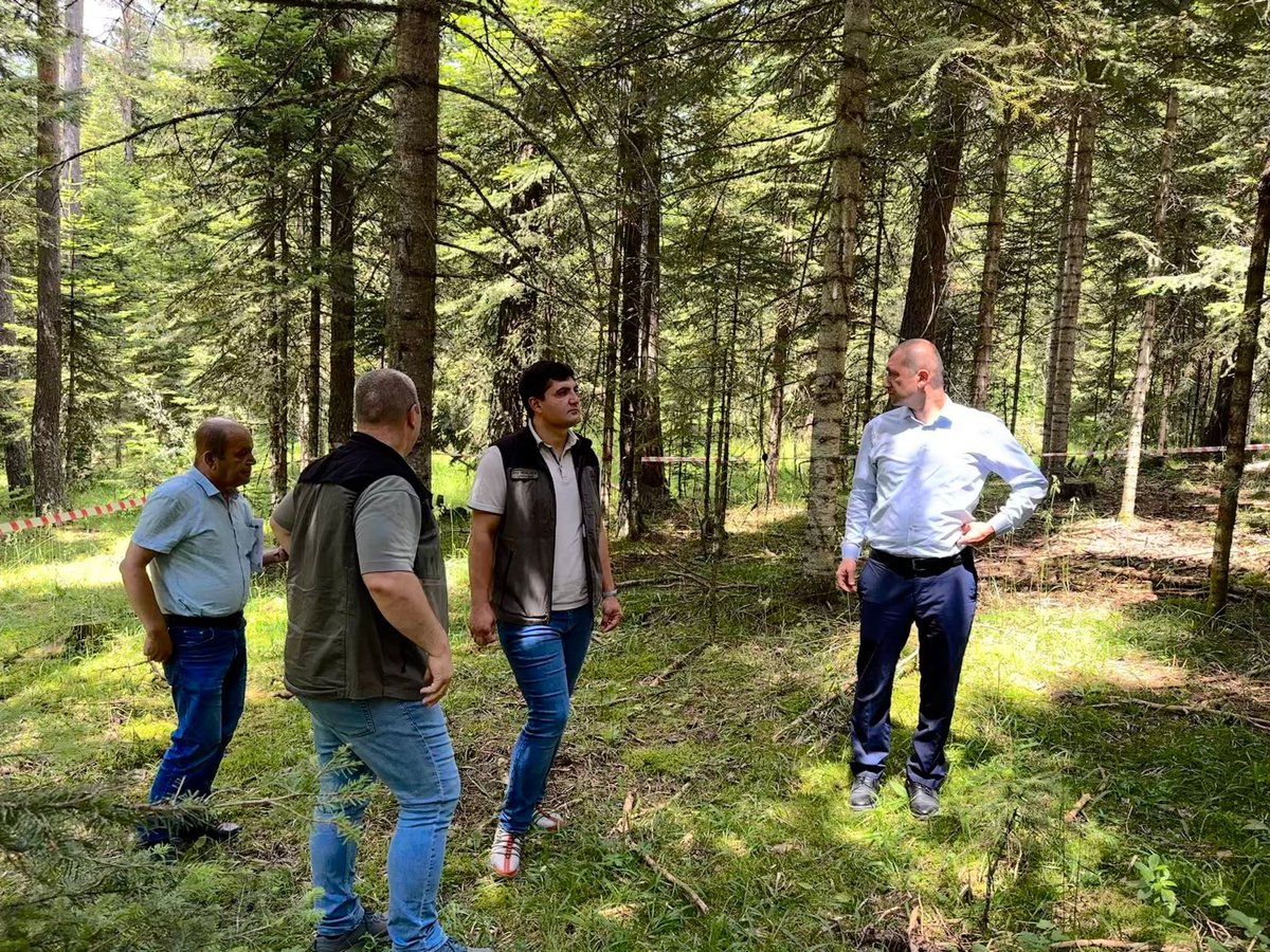 Ormanlar emin ellerde..
Karadere Orman işletme Müdürlüğü Handüzü Orman İşletme Şefliği 2023 yılında Meşçere Altı Bakımı yapılacaktır.