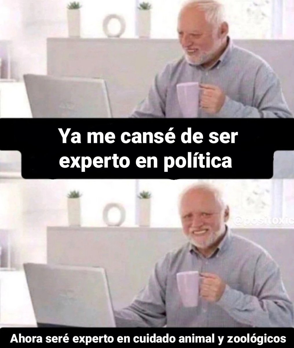 Todo Pereira: