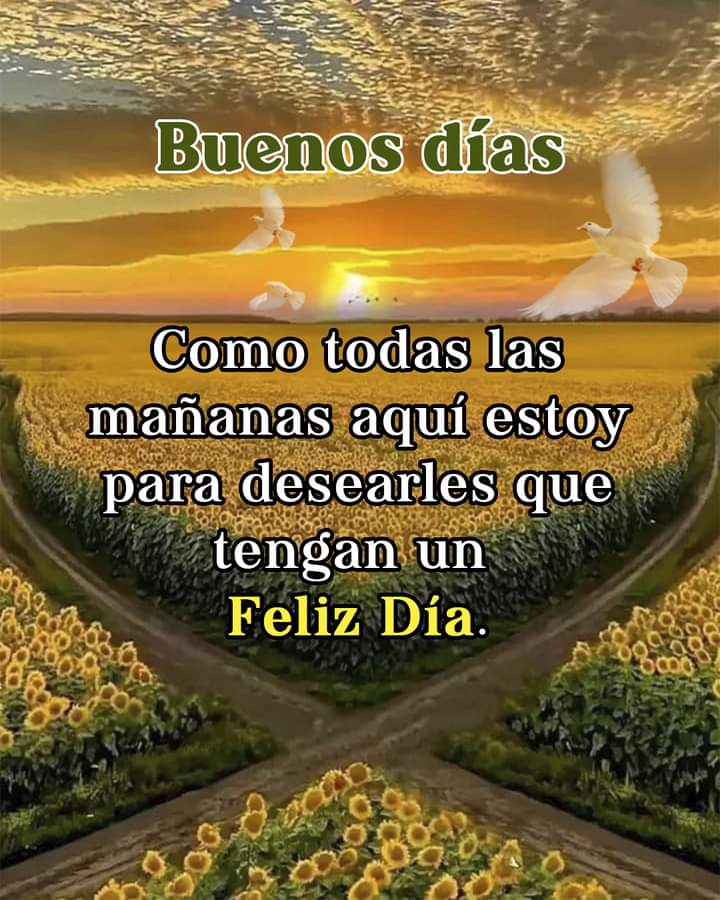 maria lovera rivas (@majarivas) on Twitter photo 