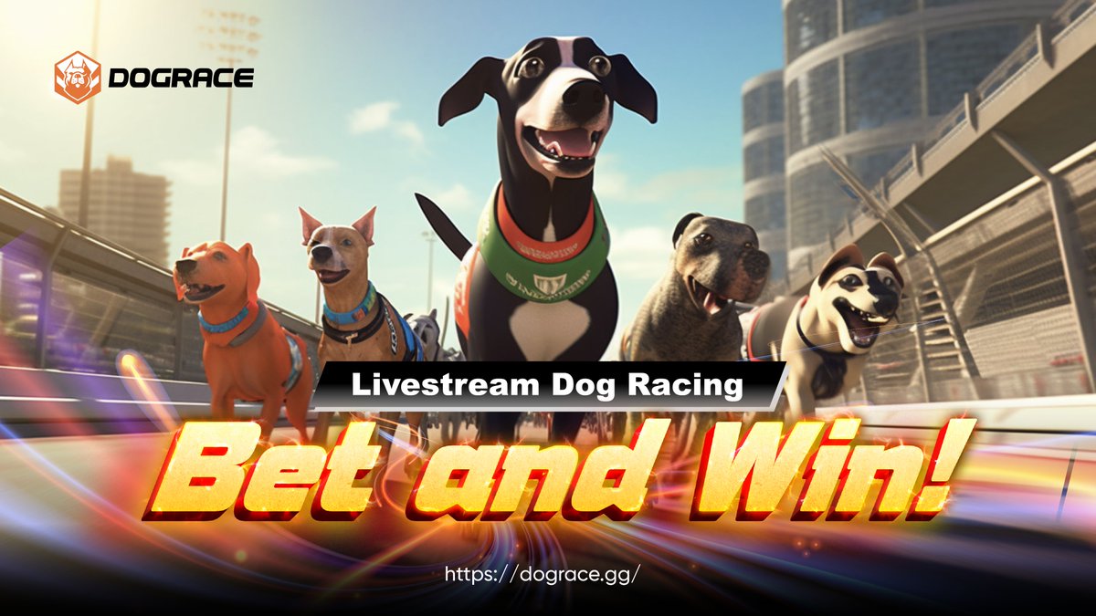DogRace.GG tweet media