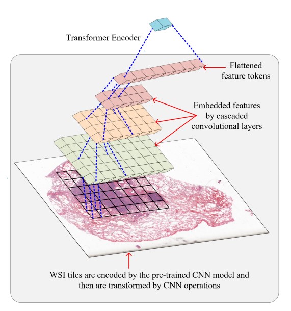 Anant Madabhushi tweet media