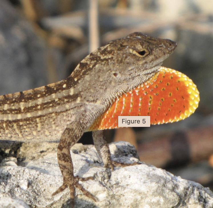 Richard Behringer tweet media