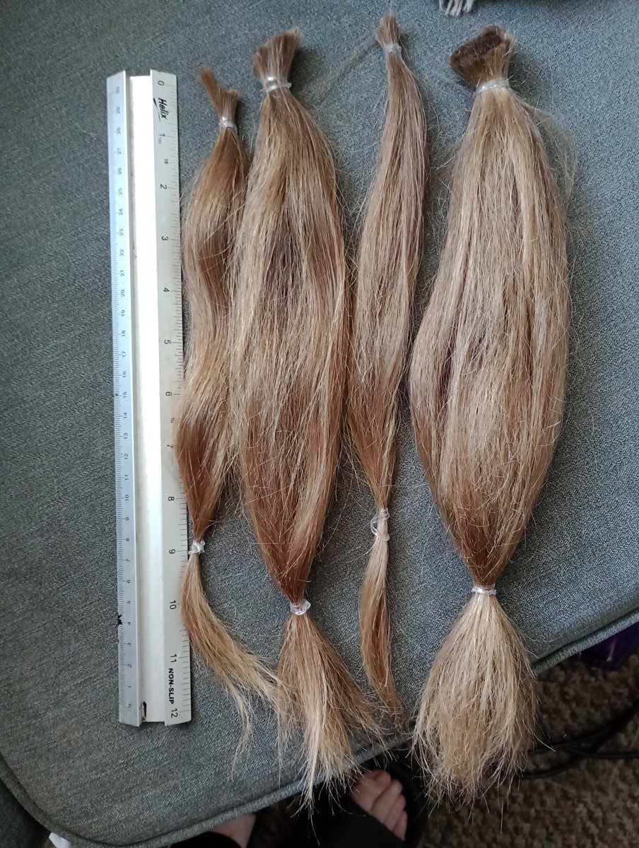 clairebearshow's tweet photo. Abigail took the cut today, and raised £45 on my Facebook page so far for @LPTrustUK  very proud of her 💜 https://t.co/1wuqsnofIe