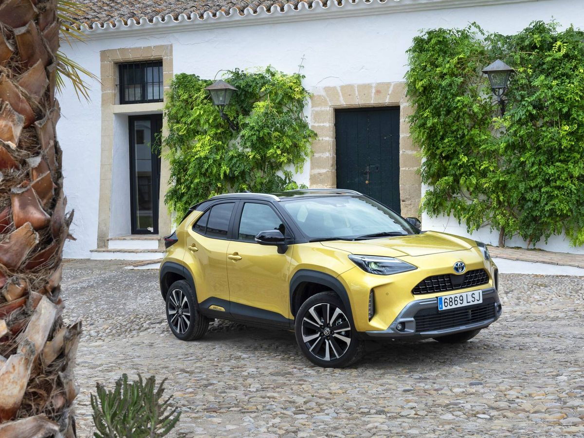 Toyota Burgos tweet media