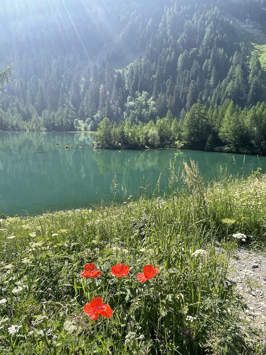 J’veux de la couleur en cette journée pluvieuse #lundifleuri