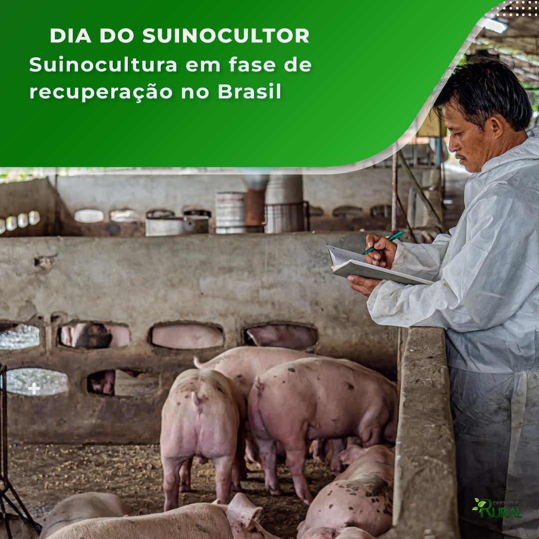 destaquerural's tweet photo. 📲Leia pelo link https://t.co/9aRFHTrC5A

#destaquerural #agronegócio #agro #pecuaria #agropecuaria #produçãoagricola https://t.co/3kpbr57CBk